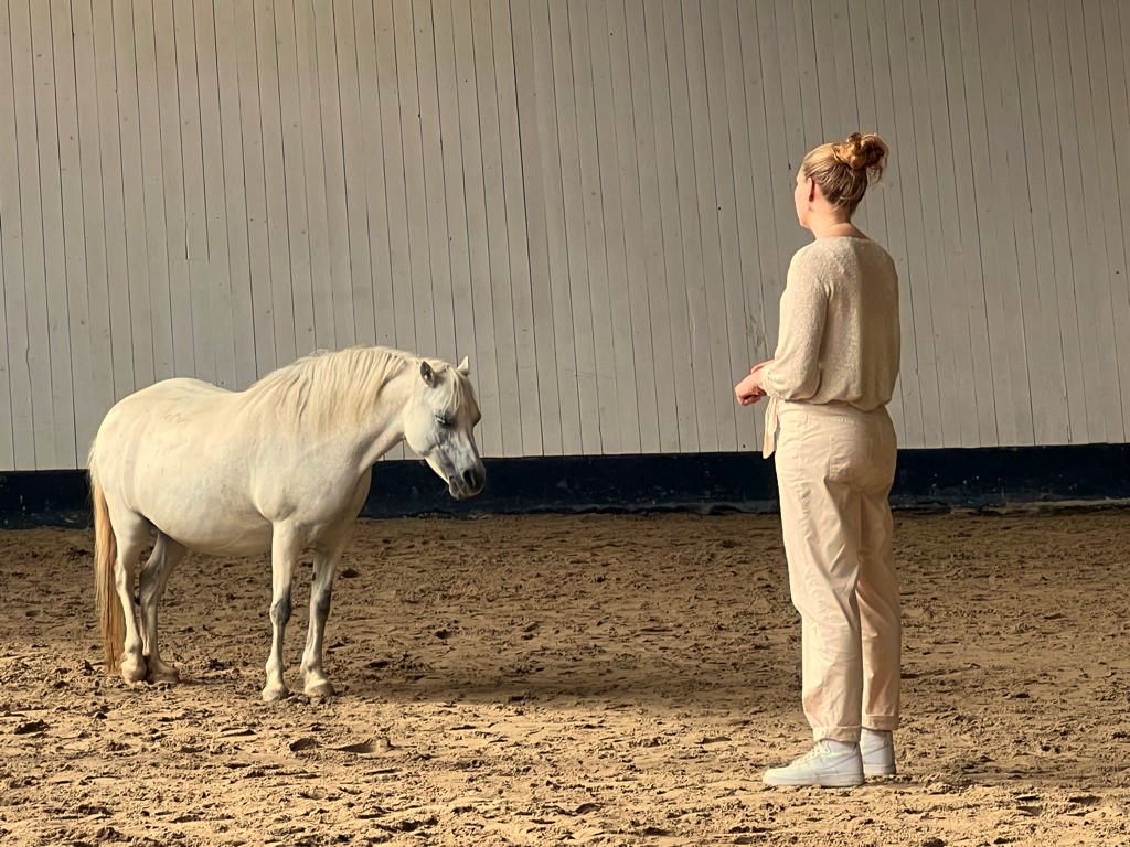Coaching met paarden