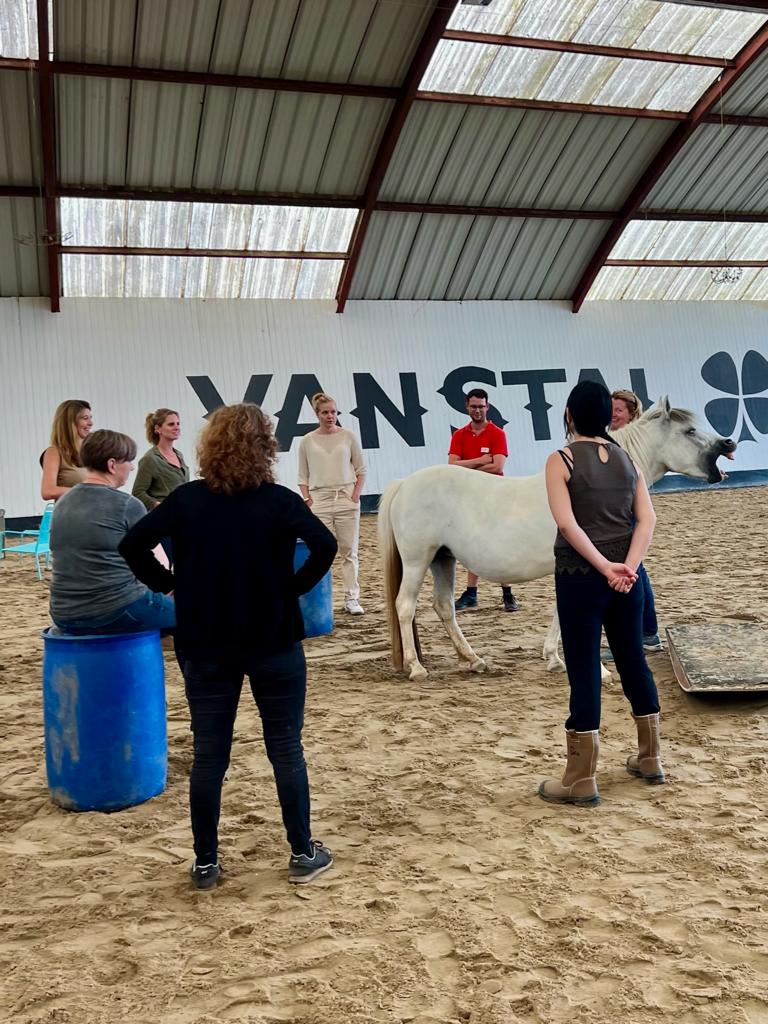 coaching met paarden