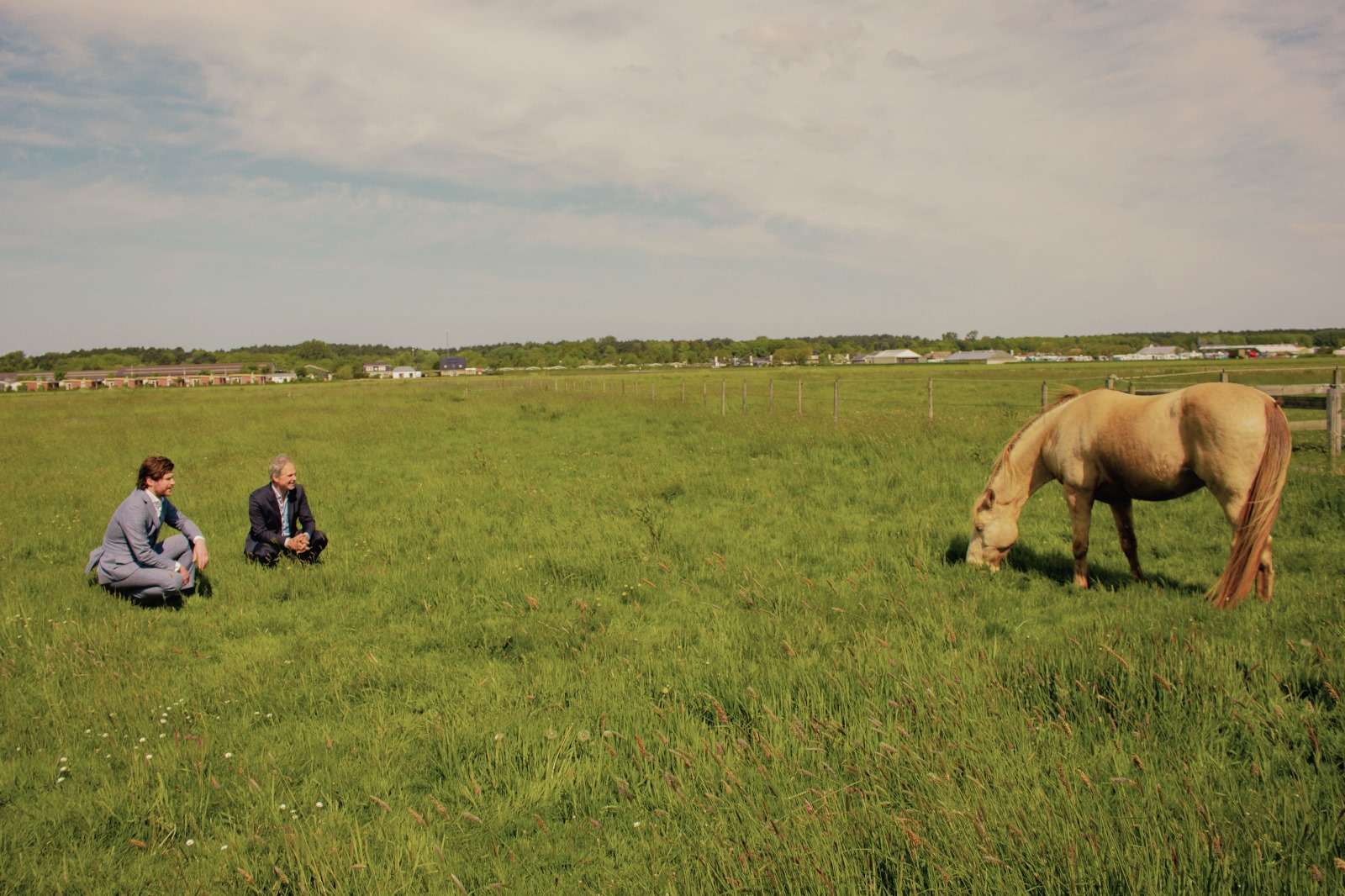 Coaching met behulp van paarden